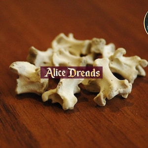 Ravens vertebrae bead for dreads. Beads for dreadlocks. Natural vertebrae.