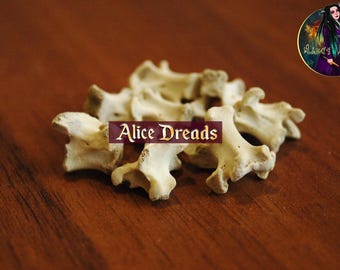 Ravens vertebrae bead for dreads. Beads for dreadlocks. Natural vertebrae.