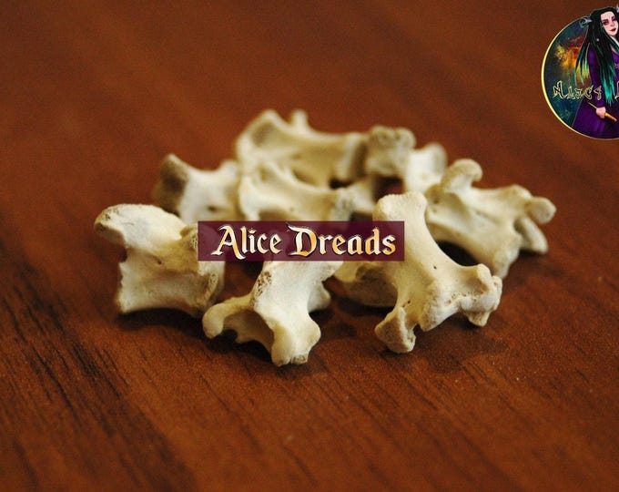 Natural Vertebrae Bead for Dreads