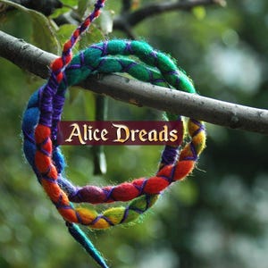 Dreadlock extensions spiral lock for dreads bendable dread tie padded wire be AliceDreads