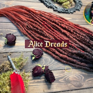 Dreadlock extensions Set gehaakte dreadlocks gemaakt van synthetische dreadlocks met vlechten zwart tot roodbruin kastanjebruin HAAR met losse eindjes