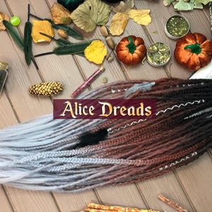 Extensiones de rastas Alice Dreads Juego de rastas sintéticas de aspecto natural, rastas de doble punta, mechones personalizados, negro, marrón, gris claro, ombré