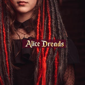 Dreadlock extensions Set of natural look synthetic double ended dreads accent dreads custom dreadlocks black red dark grey gray ombre