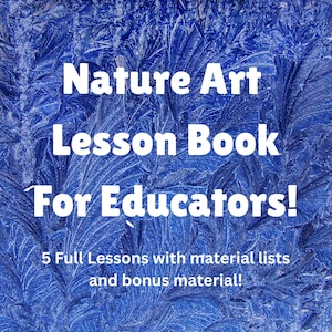 Può includere: Una copertina di libro con uno sfondo blu intenso caratterizzato da un motivo bianco simile al gelo. Il testo recita: Nature Art Lesson Book For Educators! 5 Full Lessons with material lists and bonus material! Il design presenta forme simili a felci.