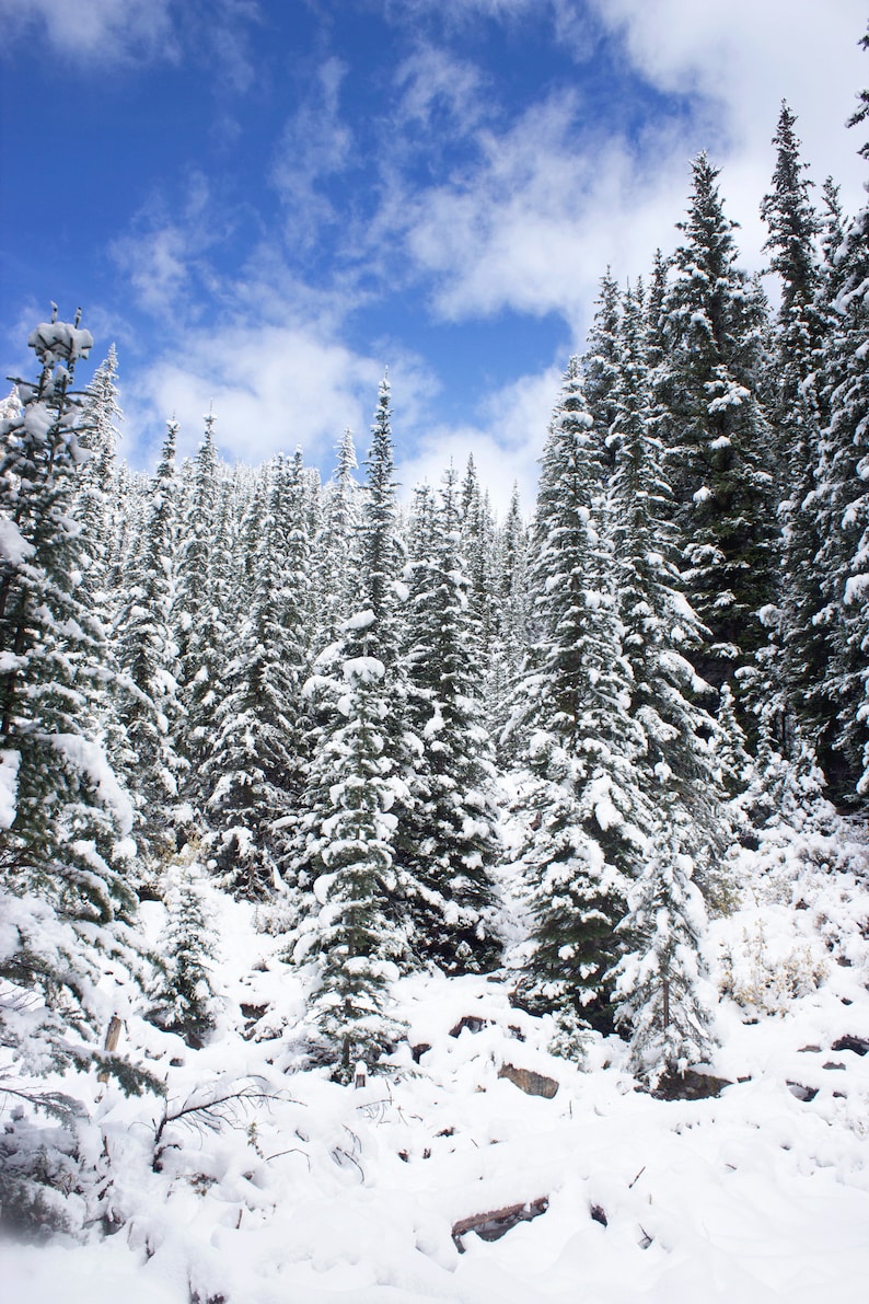 Banff Winter Photo Digital Download Landscape Printable Wall Art