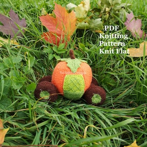 May include: A knitted pumpkin carriage toy with an orange body, light green door panel, brown wheels, and a brown stem. The text PDF Knitting Pattern Knit Flat is visible on the right side, and SavushkaDesigns is printed on the pumpkin.