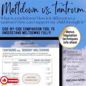 What is a Meltdown, Tantrum vs Meltdown, Autism Parenting Support, Stop a meltdown, Meltdown support, Special Needs, Understanding Autism
