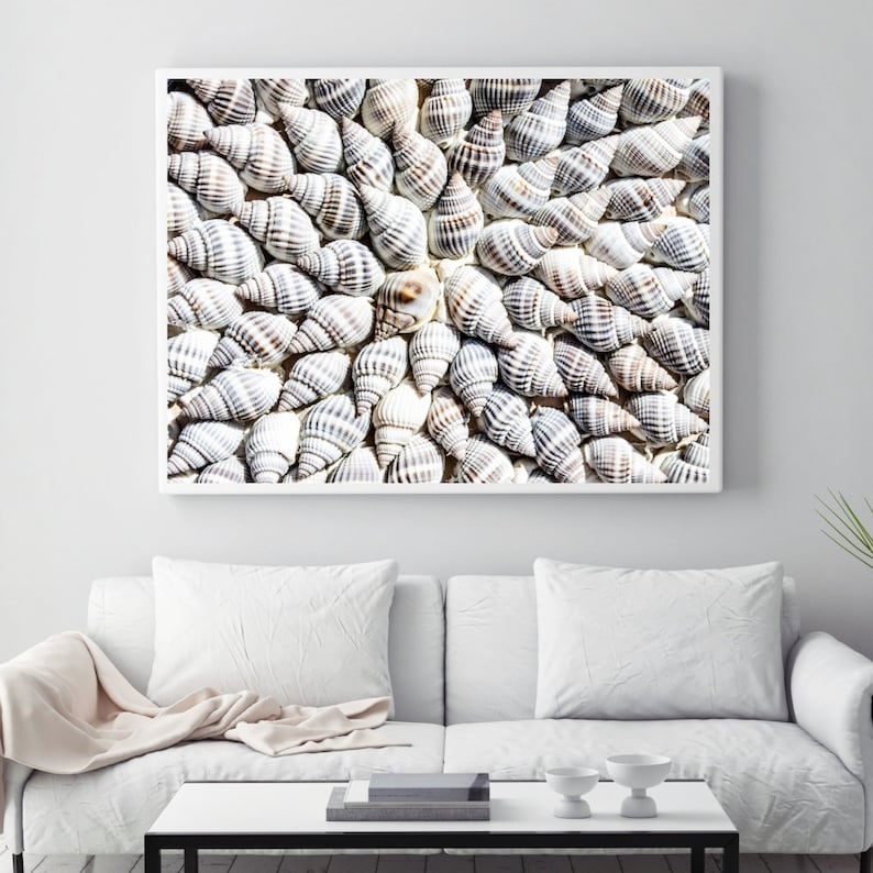 Get Art cotier seashells framed mur plage par collections etc For iPhone