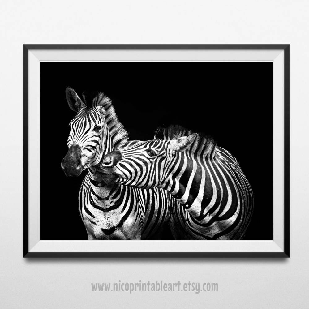 Zebra Print Zebra Printable Art Zebra Photography Safari | Etsy