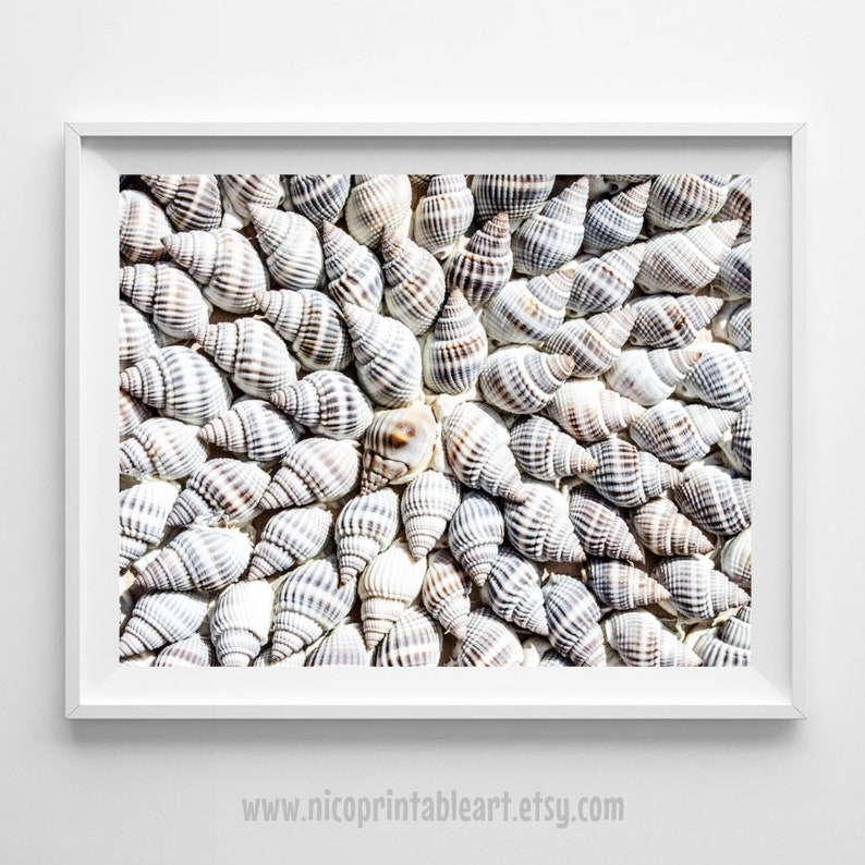 Download Art cotier seashells framed mur plage par collections etc For iPhone Free