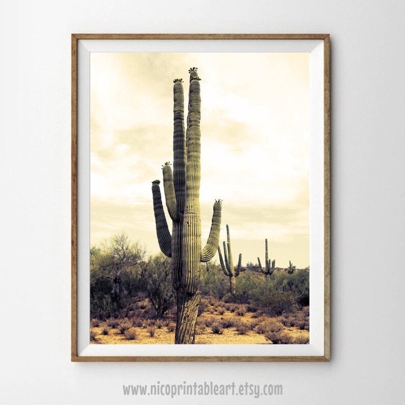 Desert Cactus Wall Art Cactus Print Digital Download South Etsy