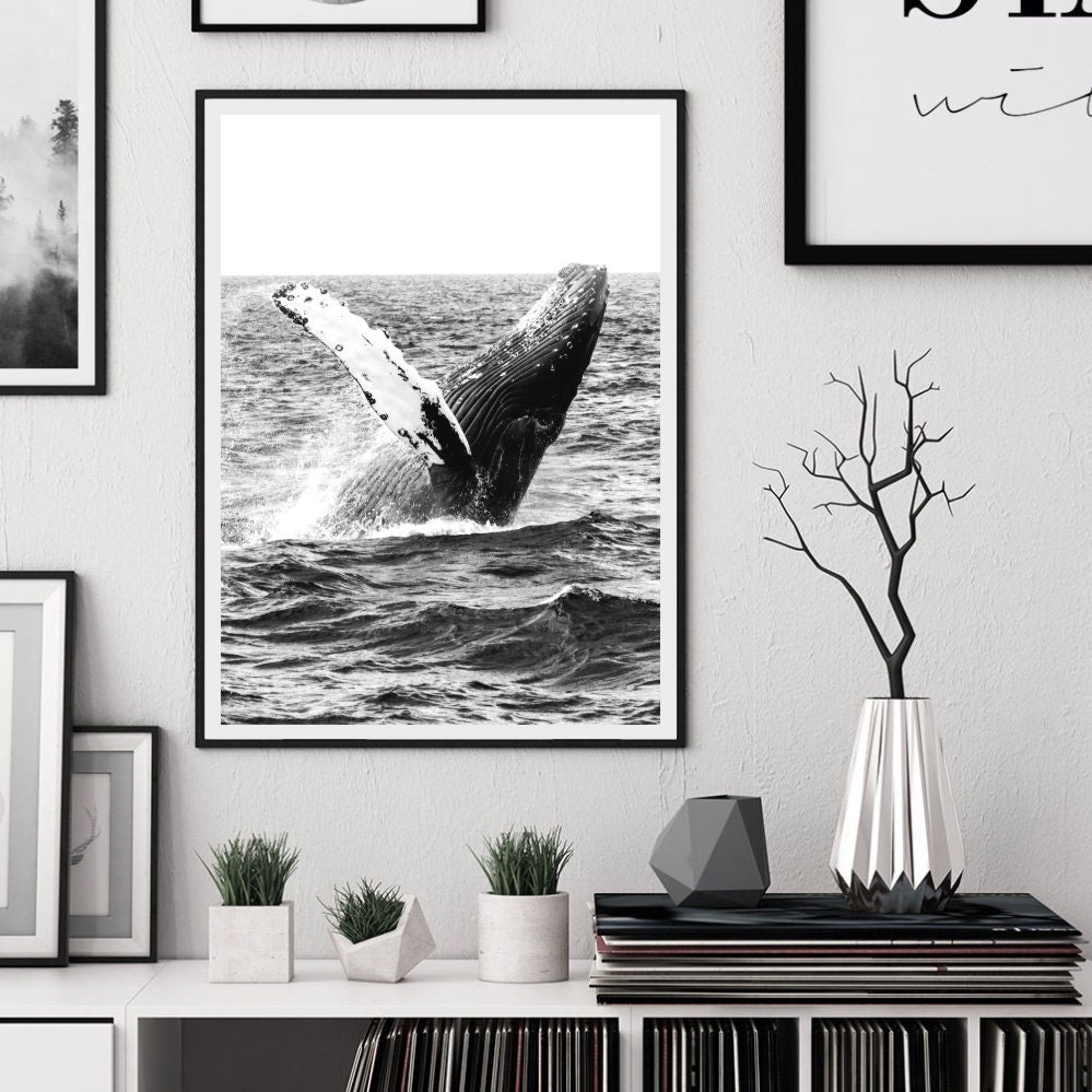 Whale Print Black and White Photography Whale Wall Art | Etsy