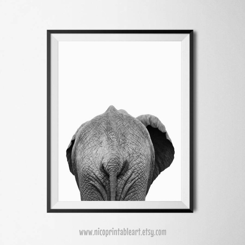Black and White Elephant Print Nursery Animal Safari Nursery Etsy