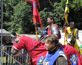 Manta para caballos y caballeros batallon traje historico de hombres traje historico caballeros medievales espectaculo de caballos espectaculo historico Etsy Espana