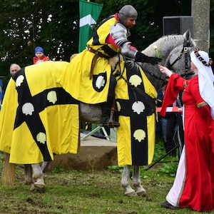 Blanket for horses and knights, battalion, men historical costume, historical costume, medieval knights, horses show, historical show