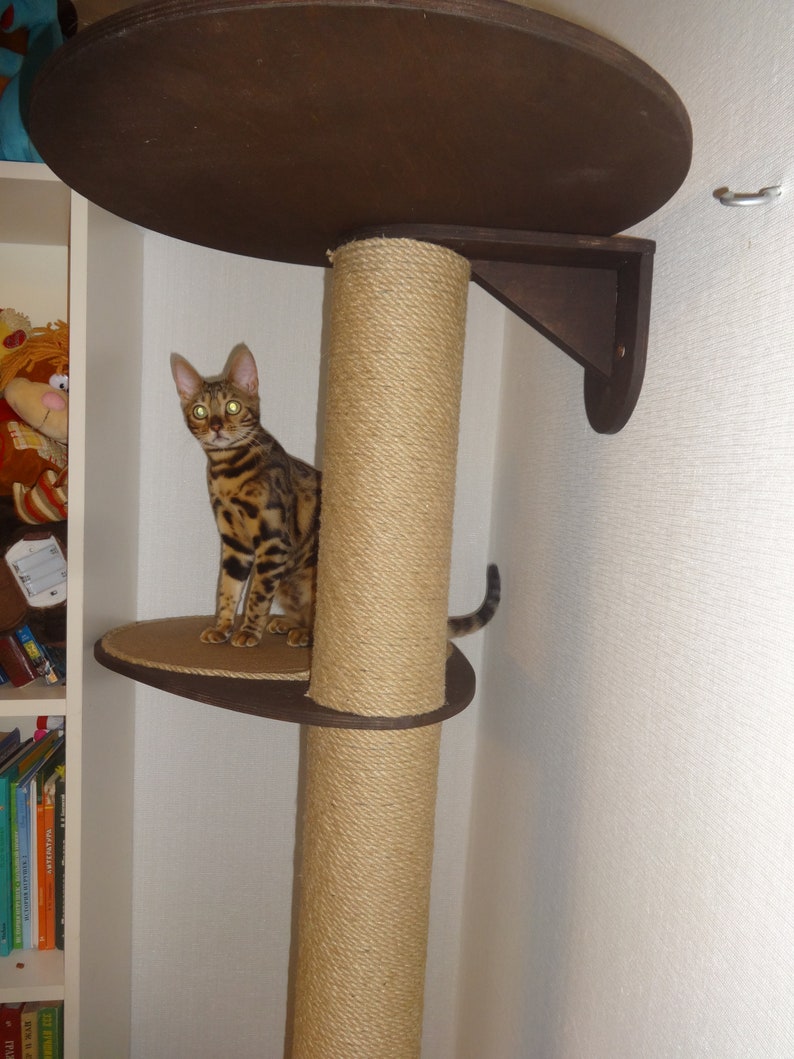 Cat furniture Wall mount cat furniture tree Etsy