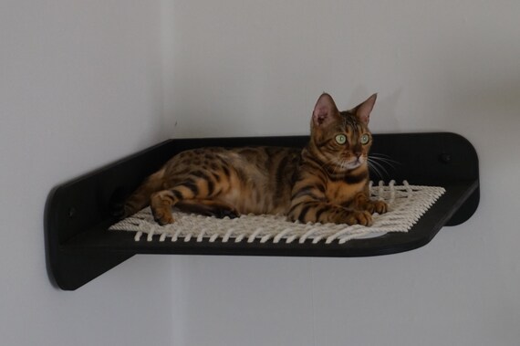 wooden cat hammock