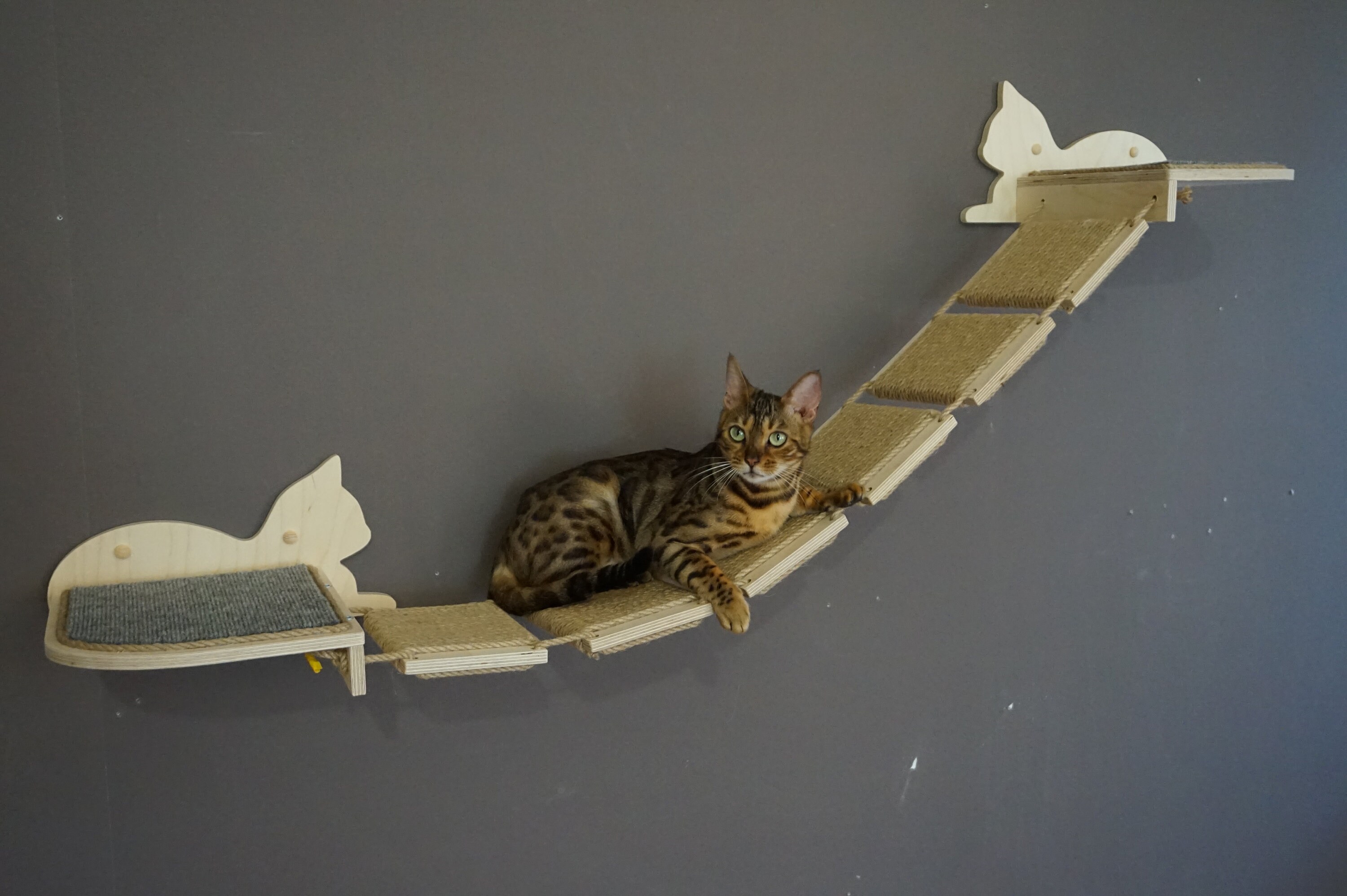 Cat Shelves Bridge Cat Bridge Cat Wall Furniture Cat Shelves Etsy