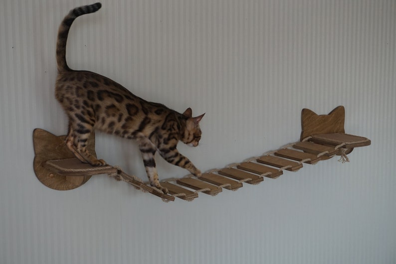 Cat shelves bridge Cat wall furniture Etsy