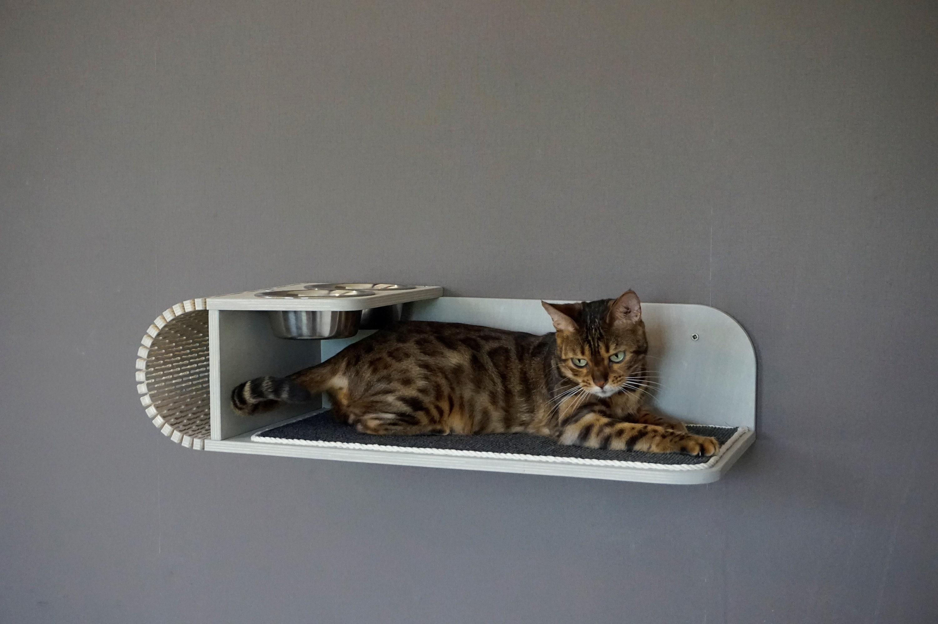 Post Step Ladder for cats on the wall Runway shelf. Etsy