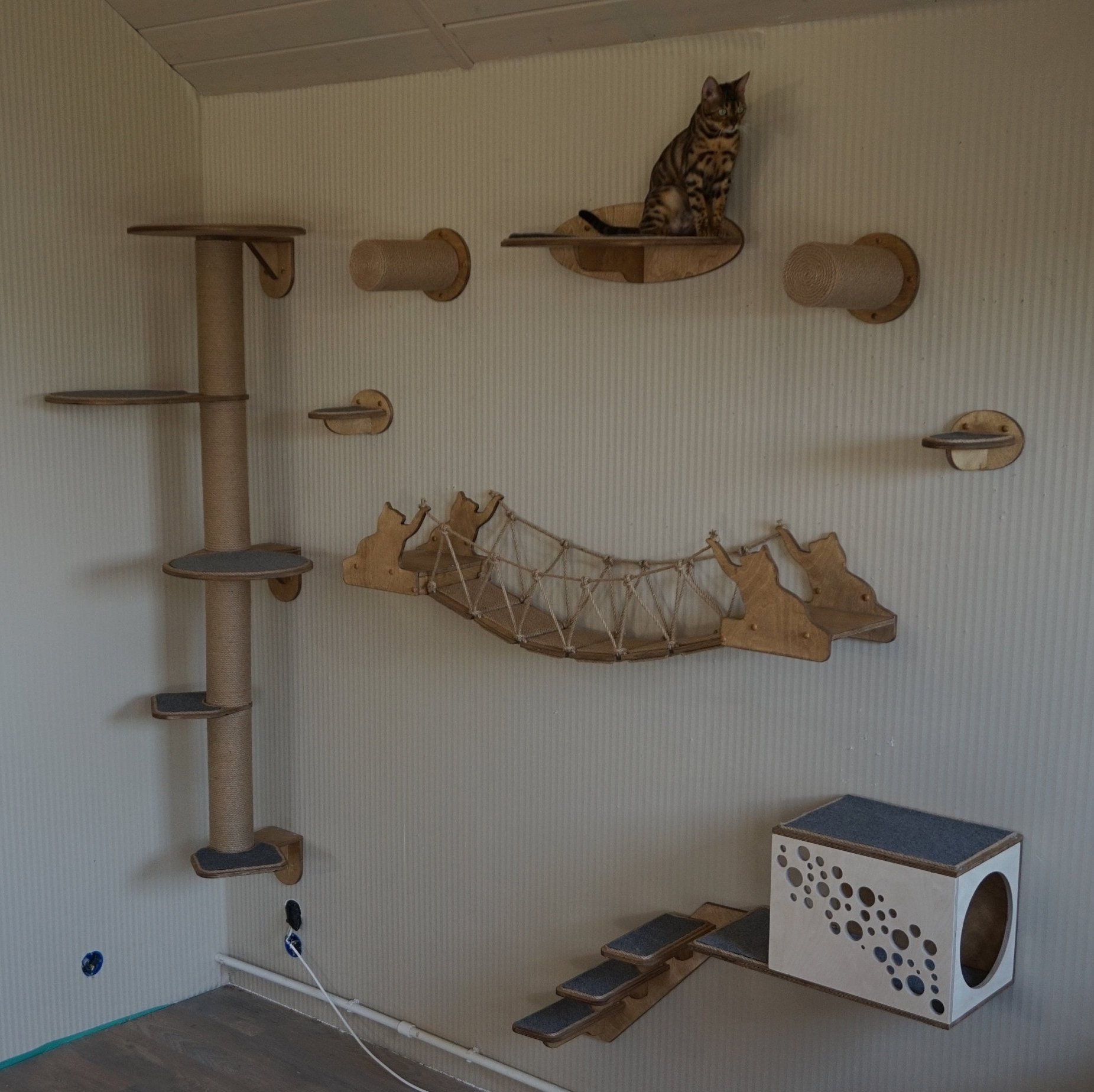Katze-Wand-Regale moderne Katzenmöbel Katze Regal Seil - Il Fullxfull.1884326894 Pzf3