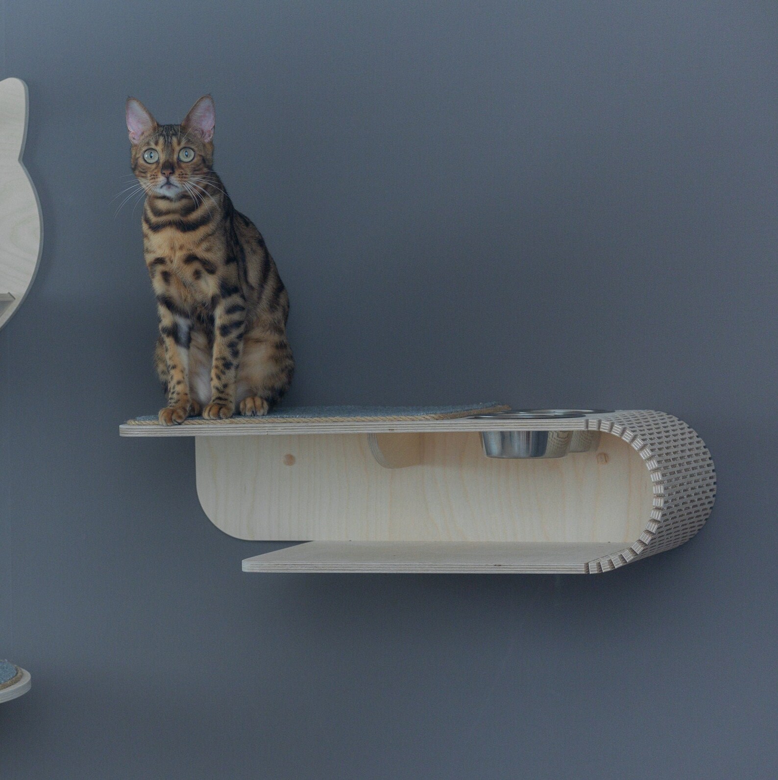 Post Step Ladder for Cats on the Wall Runway Shelf. Etsy