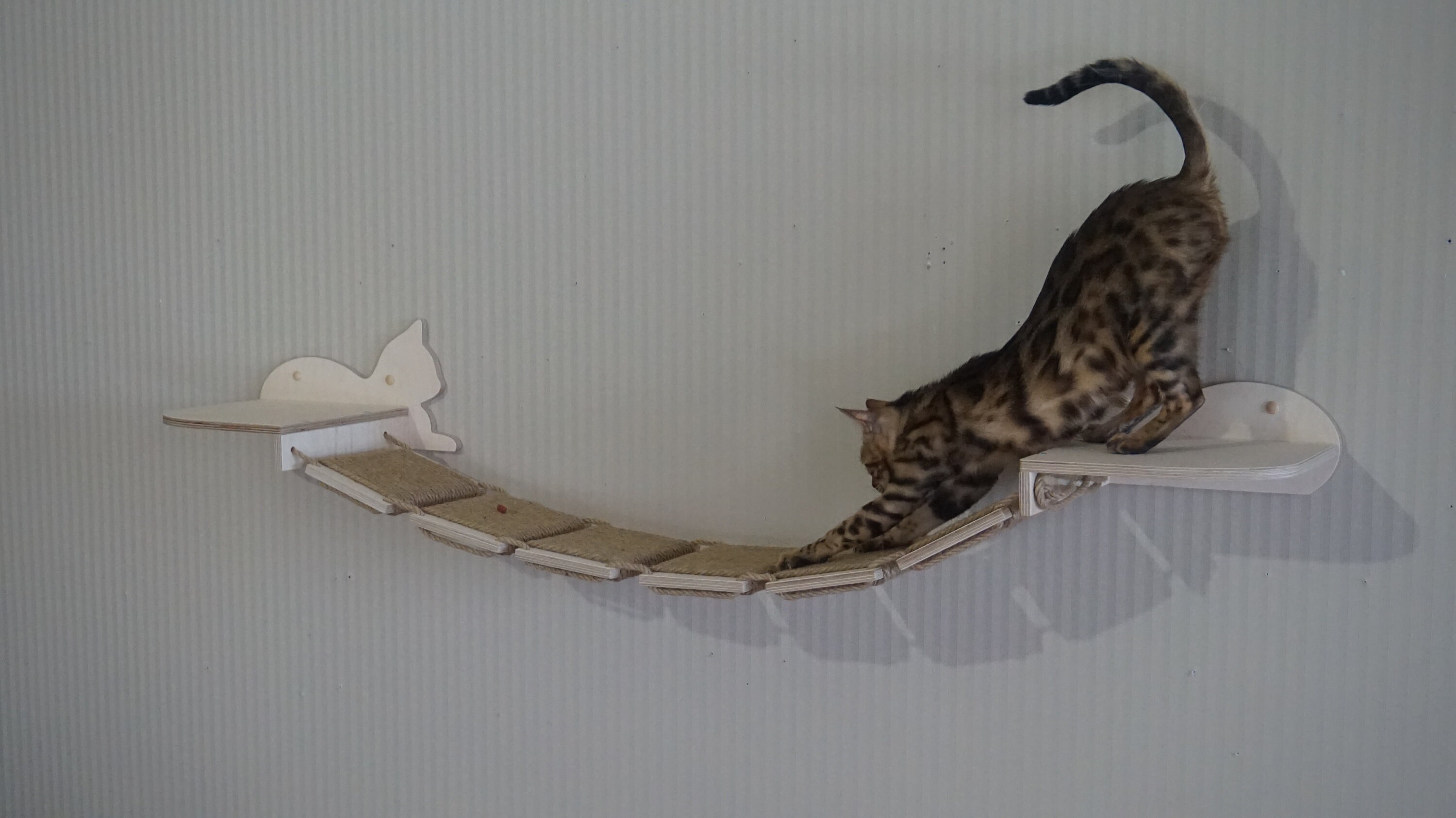 Cat shelves bridge Cat Bridge Cat wall furniture Cat shelves Etsy