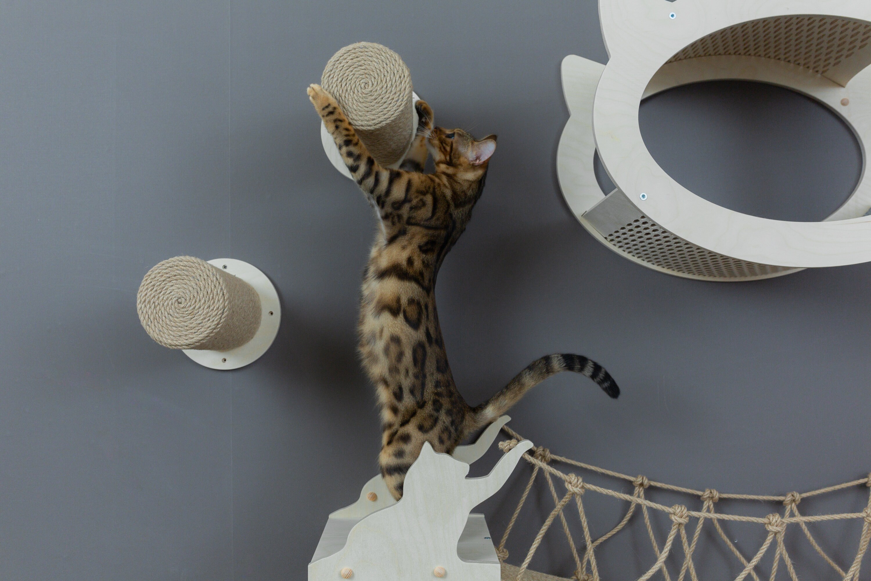 Cat Shelves Bridge Cat Bridge Cat Wall Furniture Cat Shelves Etsy