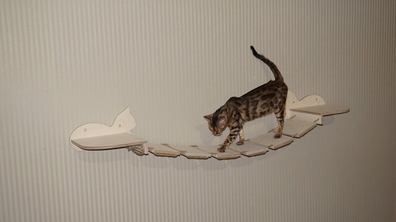 Cat Shelves Bridge Wall Furniture Shelf Mount Mounted Climbing