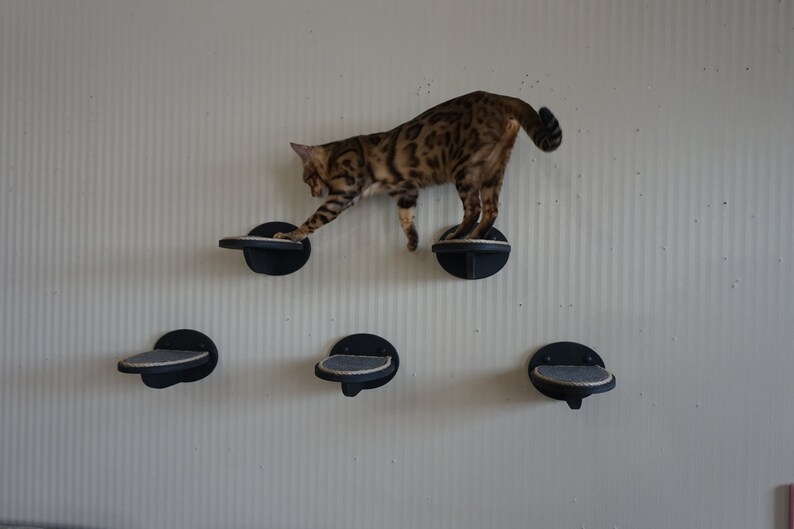Post Step Ladder for cats on the wall Runway shelf. Etsy