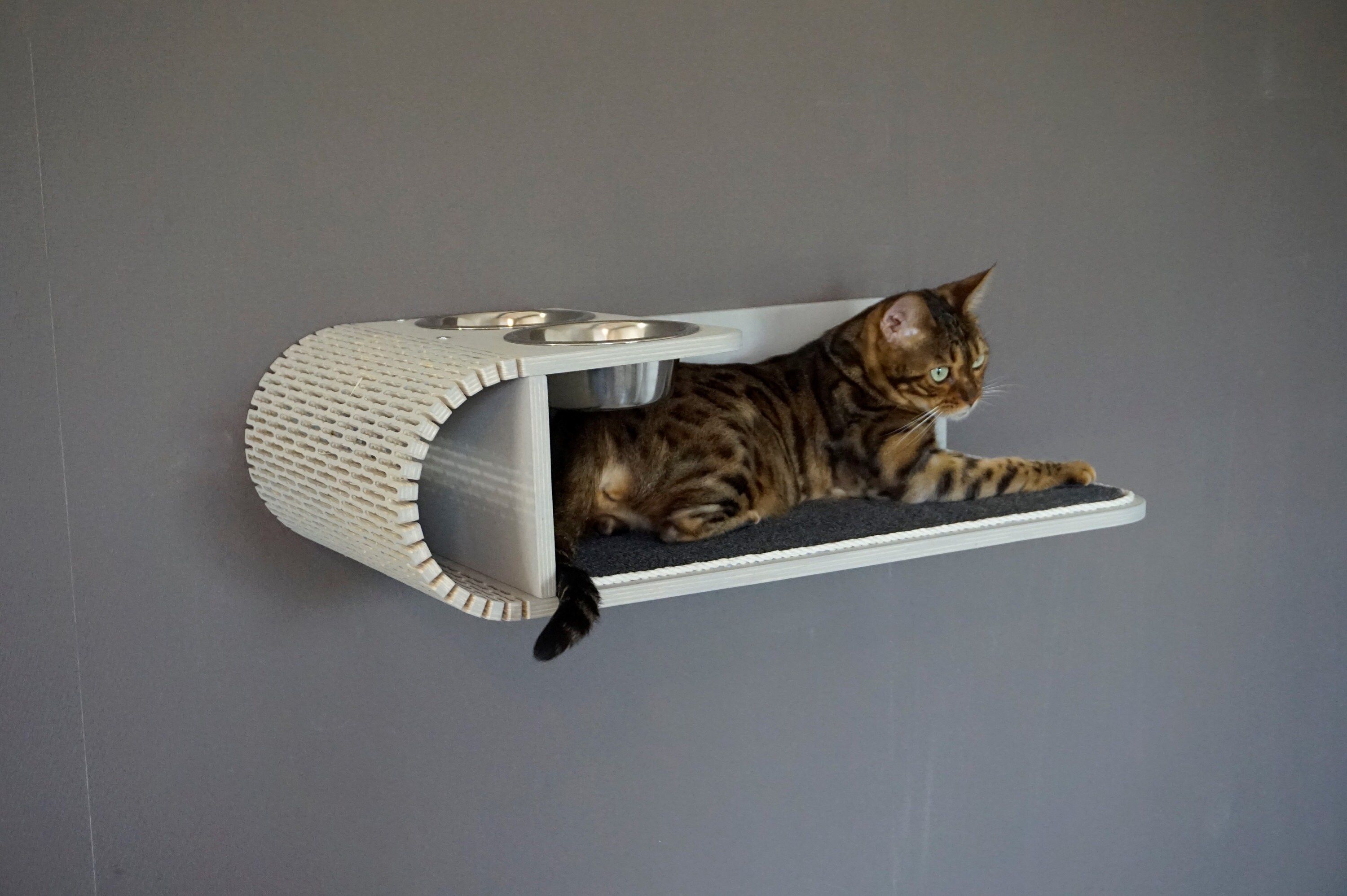Post Step Ladder for cats on the wall Runway shelf. Etsy