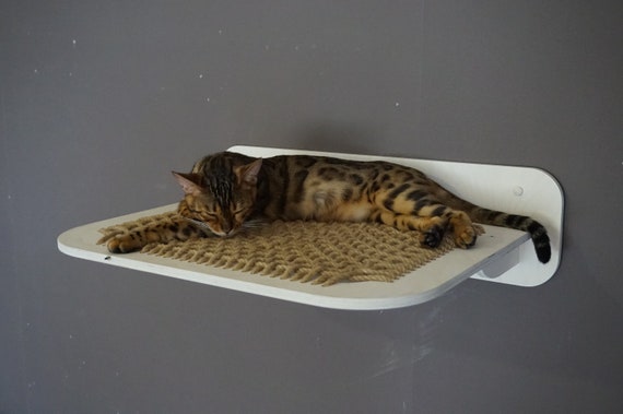 wooden cat hammock
