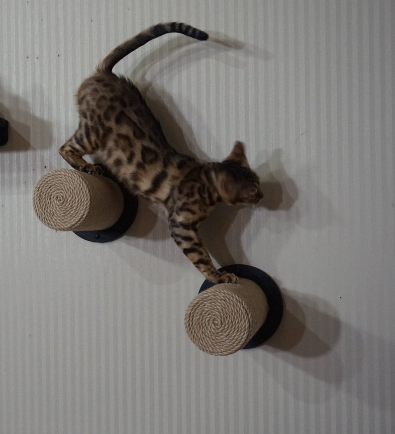 1 Cat Steps Sisal Post Step Stairs for Cats on Wall
