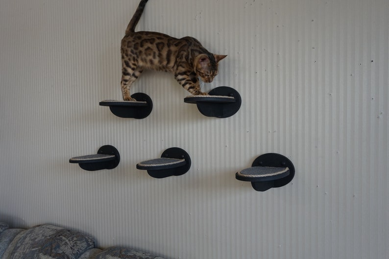 Post Step Ladder for cats on the wall Runway shelf. Etsy