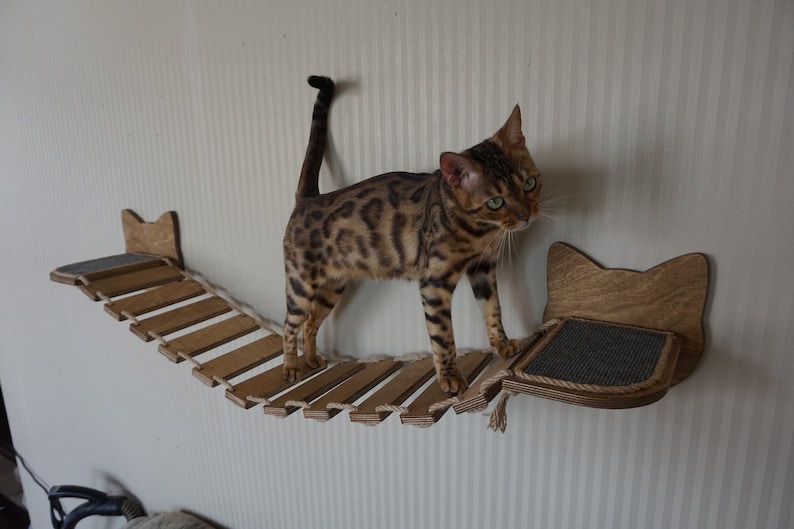 Cat shelves bridge Cat wall furniture Etsy