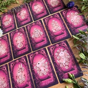 May include: A collection of tarot cards featuring illustrations of rabbits and pentacles in shades of pink and purple. Each card displays a unique rabbit character surrounded by floral motifs and pentacle symbols, with text labels at the bottom.