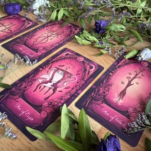 May include: Four rectangular tarot cards with a vibrant magenta and purple color palette, featuring illustrations of a pentacle, a sword, a teacup, and a wand. Each card is labeled with its name, including Ace of Cups and Ace of Wands.