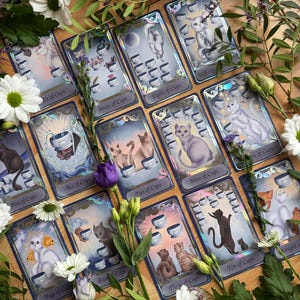 May include: A collection of tarot cards from the suit of cups, each featuring illustrations of cats and cups, arranged on a wooden surface surrounded by white daisies and purple flowers. The cards include labels like Ace of Cups and Ten of Cups.