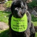 see more listings in the Dog Bibs / Bandanas section