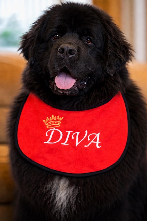 Personalized Large Breed Dog Bib: Absorbent Terry Towel, Slobber Drool Catcher