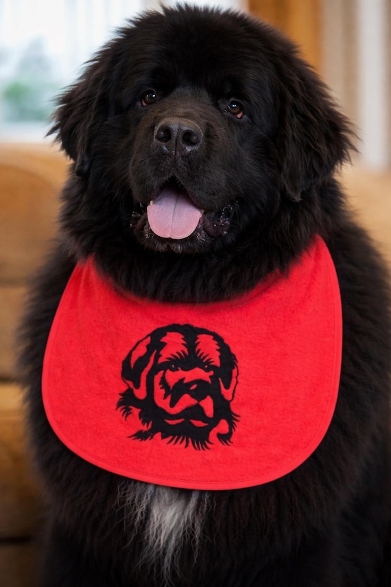 Large Breed Dog Bib: Absorbent Terry Towel, Custom Name Option