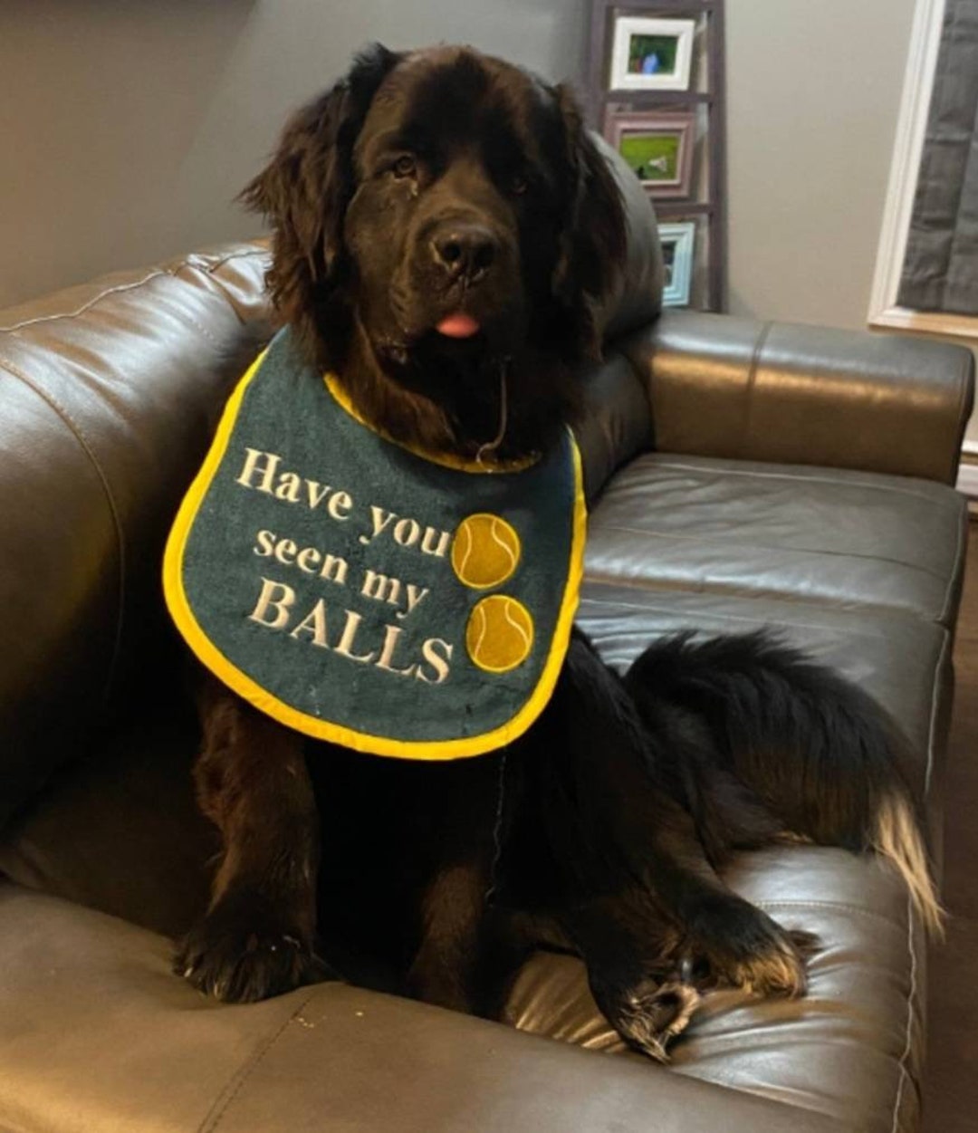 Dog Bib ,large Drool Bib ,slobber Dog Bib , Newfoundland Dog Bib , St