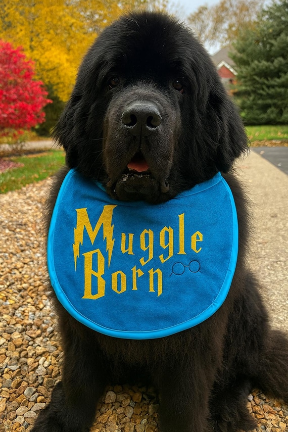 Large Breed Dog Bib: Absorbent Terry Towel, Newfoundland St Bernard