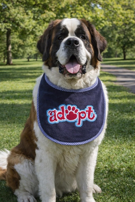 Large Breed Dog Bib: Absorbent Terry Towel, Newfoundland, St Bernard