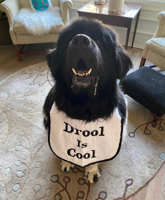 Dog Bib ,large drool slobber dog bib newfoundland