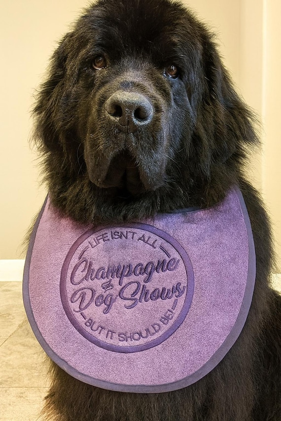 Personalized Large Dog Bib, Newfoundland Breed, Drool Terry Towel