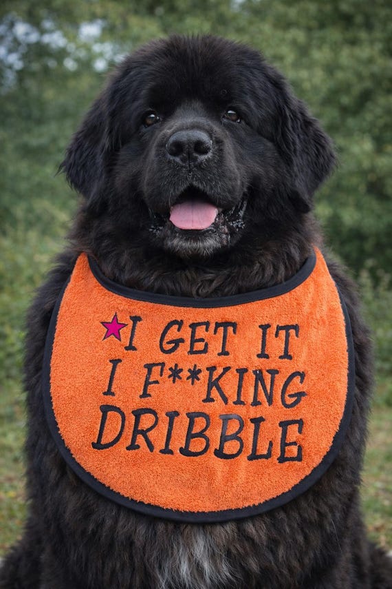 Large Breed Dog Bib: Absorbent Terry Towel, Newfoundland, St Bernard