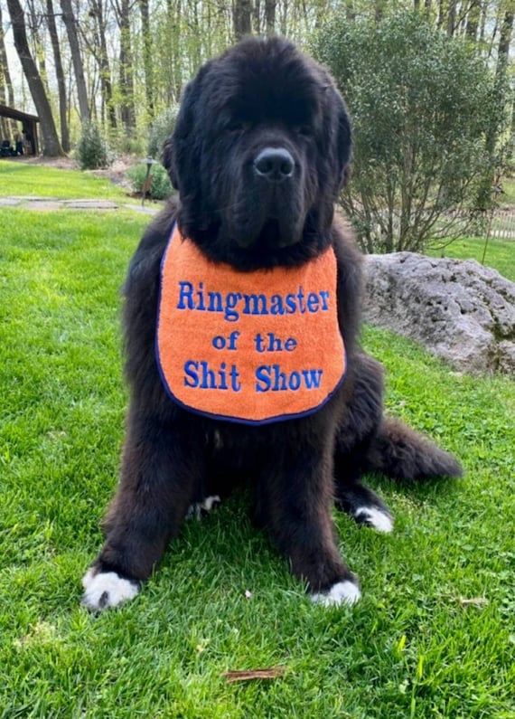 Dog Bib ,Large drool bib, slobber dog bib , newfoundland dog ,St Bernard , large breed dog bib, dog bib,