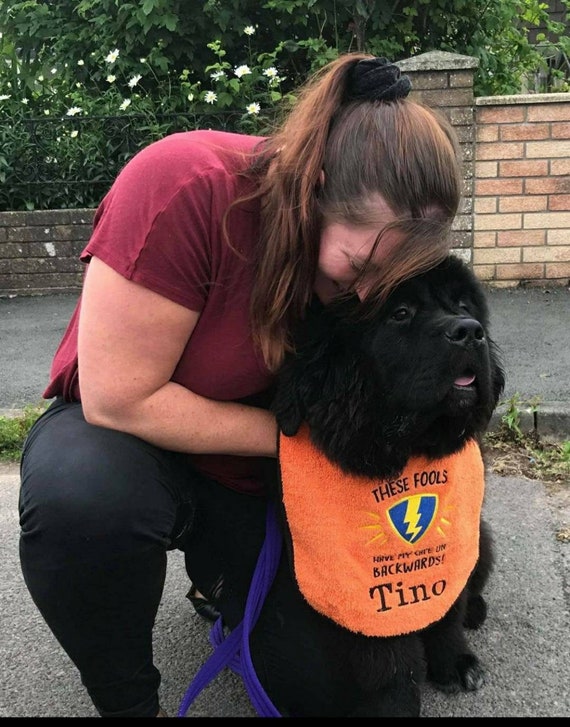 Dog Bib ,Large drool slobber dog bib newfoundland St Bernard etc somefools put my cape on backwards