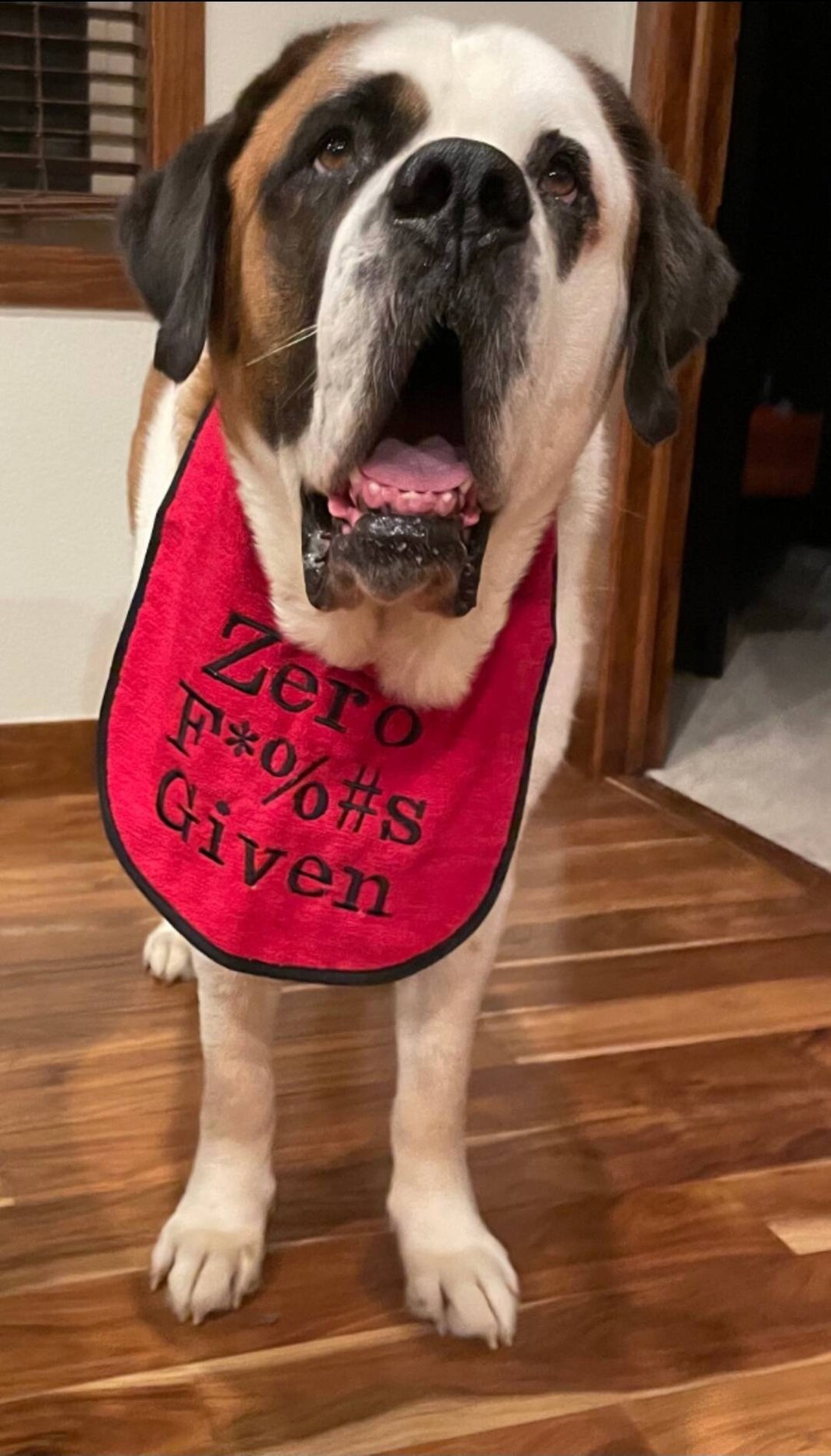 Dog Bib large Breed dog Slobber Drool Bib Newfoundland Etsy